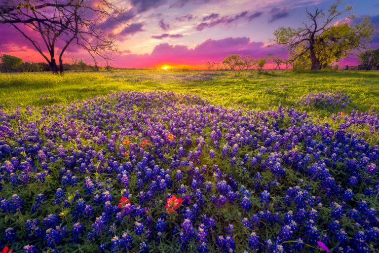 Places around Tx Hill Country