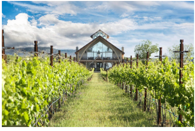 hill country vineyards