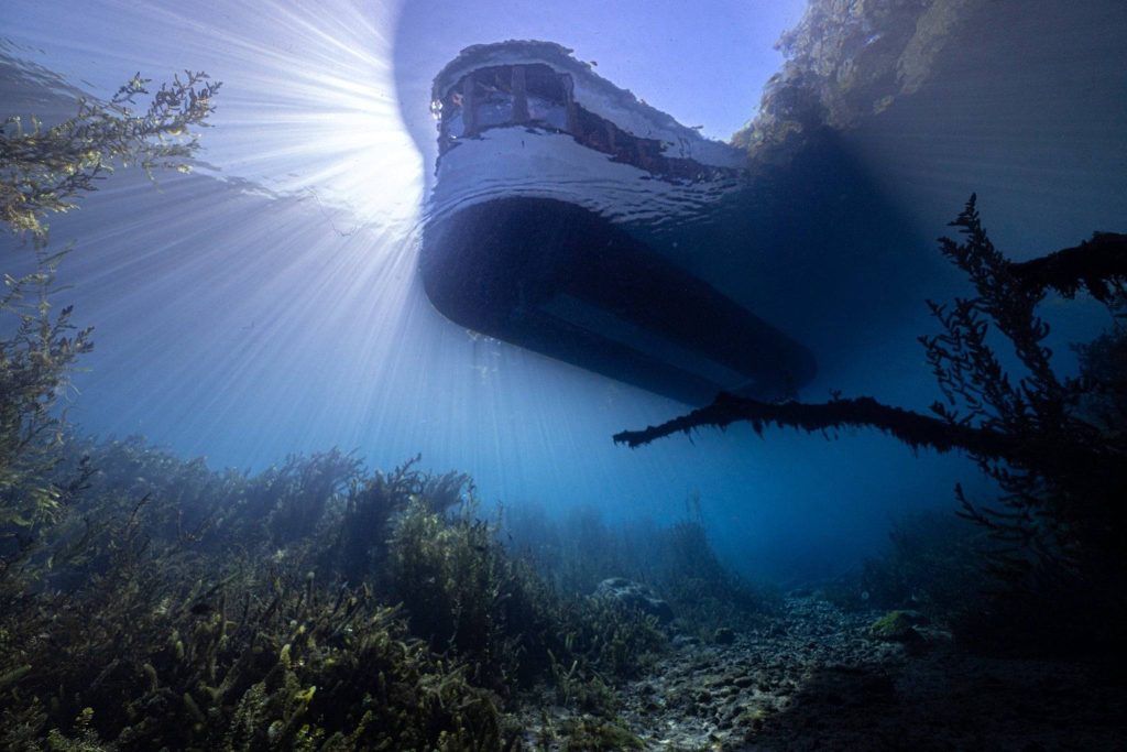 Glass Bottom Boats