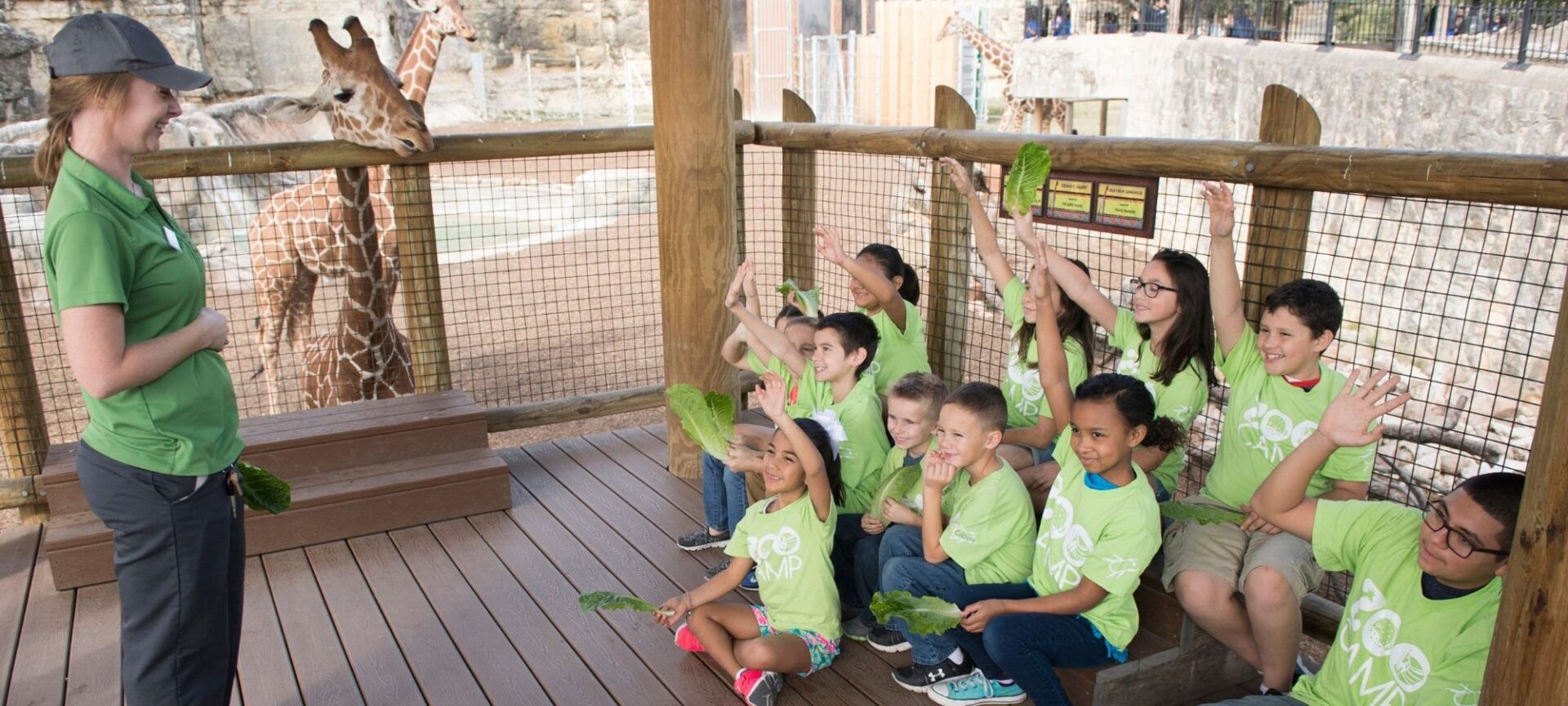 San Antonio Zoo San Antonio Zoo